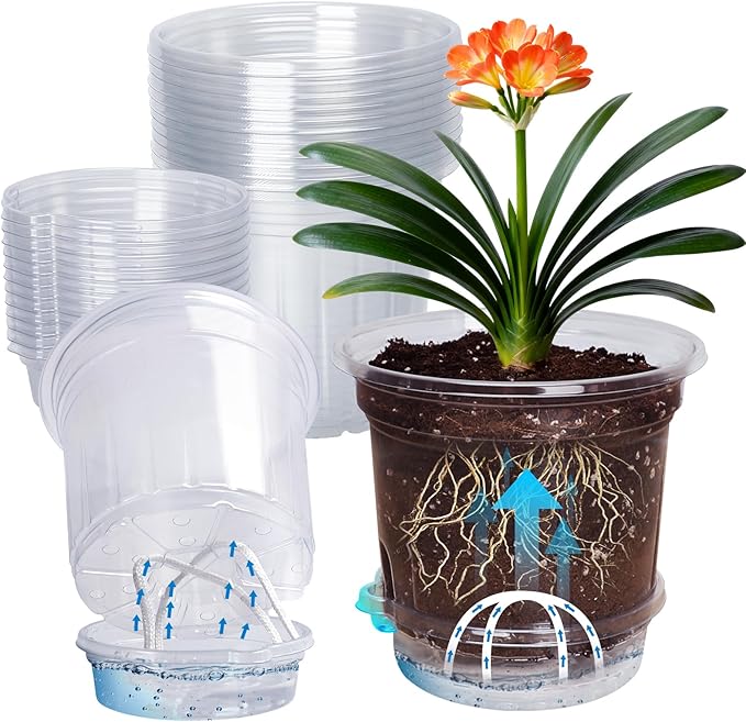 MIXC 12 Packs 6.5 Inch Self Watering Pots for Indoor Plants - Clear Nursery Plant Pots with Drainage, Deep Visible Reservoir - Flower Planter Outdoor with Wicking Rope