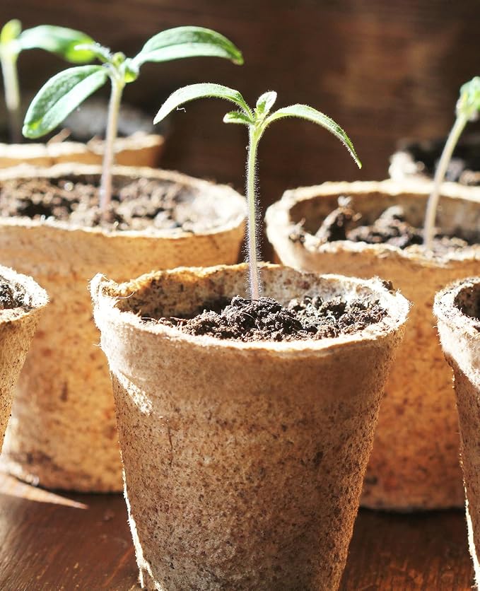 homenote Peat Pots, 120 Pcs 3.15 Inch Seed Starting Pots with Drainage Holes Round Nursery Plants Pots with Bonus 20 Plant Labels