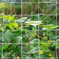 Tcamp Heavy-Duty Polyester Garden Trellis Netting Plant Climbing Net for Growing Vines Plants Vegetables Fruits Flowers, White Grow Tent (5Ft x15Ft, 3.5" Opening Mesh, 1 Pack)