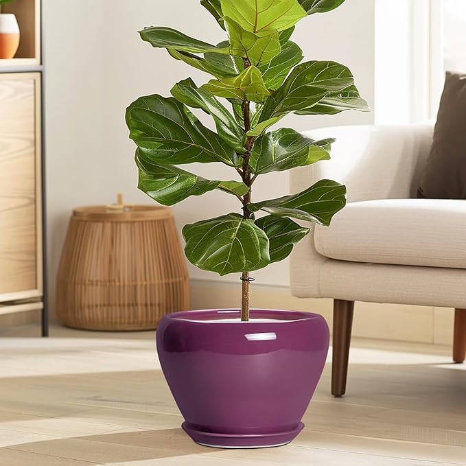 Ceramic Planter - 8 Inch Plant Pot Indoor with Drainage Hole and Saucer, Glaze Decorative Planter, Round Flower Pot, Plant Lover Gifts, Home Garden Office Decor, Purple