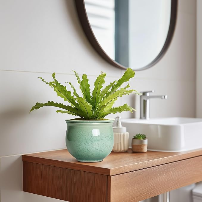Ceramic Self Watering Pots, 6 Inch African Violet Pots with Absorbent Inner Pot, Round Self Watering Planter for Indoor Plants, Ceramic Pot for Plants, House Decor, Gifts for Women Men, Green