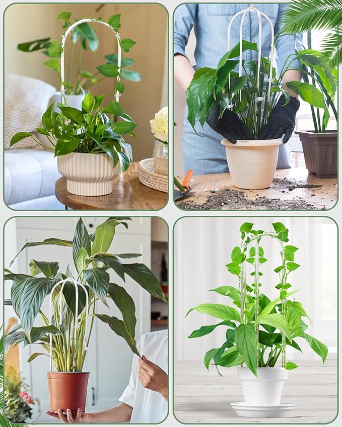 16 Inch U-Shaped Acrylic Plant Trellis, 2 Pcs Extended Hoya Trellis for Supporting Potted Climbing Plants, Small Houseplant Trellis Garden Accessory for Potted Ivy Indoor Outdoor
