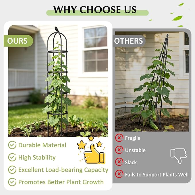 Garden Obelisk Trellis for Climbing Plants Outdoor, 6.2 FT Tomato Cage, Rose, Flowers, Grape, Pea, Cucumber Trellis, Rustproof Plastic Coated Metal Plant Support Trellis for Potted Plants (2 Pack)