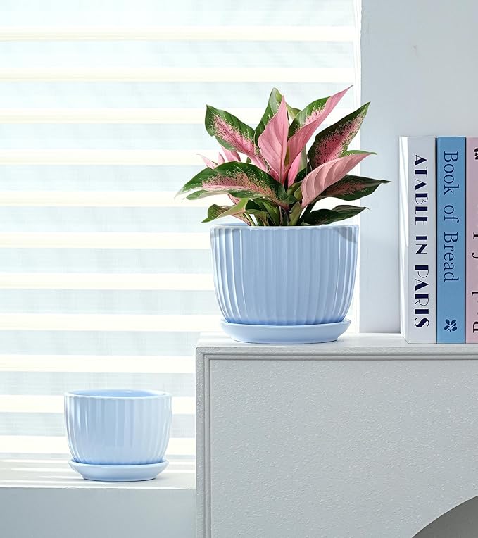 Ton Sin Sky Blue Ceramic Flower Pots, 4"+5"+6" Inch Small Succulent Planters with Drainage Hole,Modern Indoor Decorative Plant Pots Set of 3,Garden Pots with Saucer(Blue)