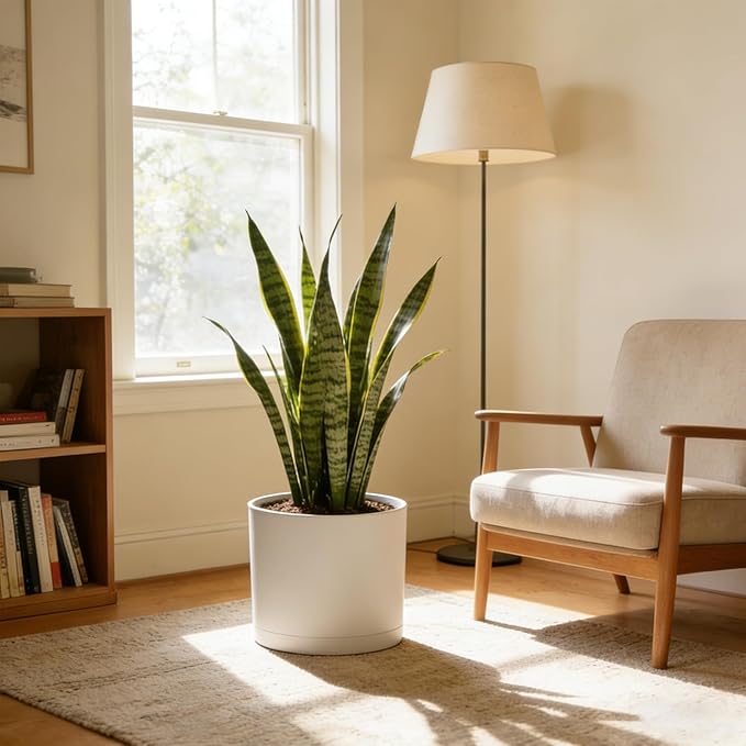 10 Inch Round Plastic Plant Pot with Drainage Holes and Saucer, Wide Flower Pots for Indoor & Outdoor Plants– 7.9" Tall Modern Cylinder Planter Pot for House Plants and Home Decorative, Matte White