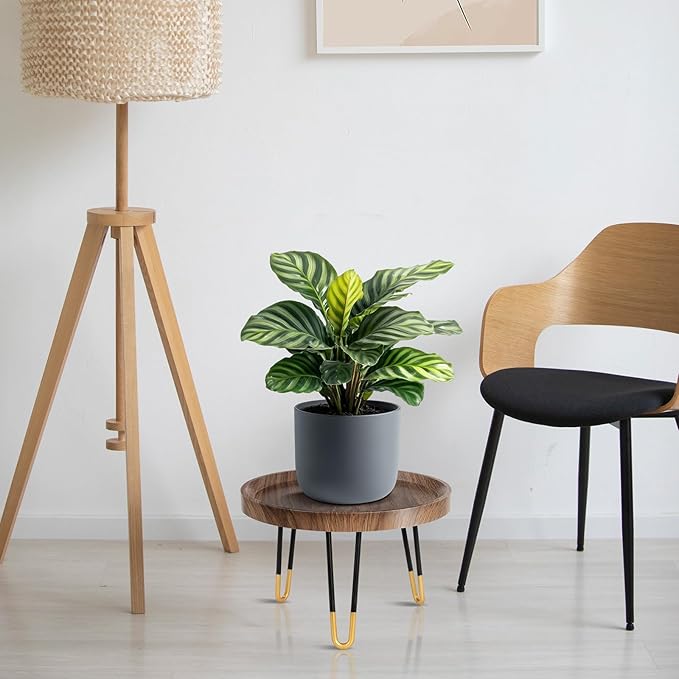 Plant Stand Indoor Outdoor, Mid Century Style Walnut Wood Color Plant Stand,Waterproof Design Modern Plant Table,Easily Assemble Come With Tools,Nice For Room Decor (L)
