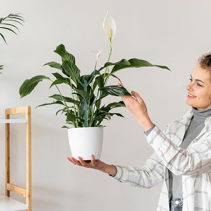 Grevosea 10 Pack Plant Support Stakes, Stackable Monstera Plant Supports for Indoor Outdoor Plants Garden Stakes Trellis for Climbing and Potted Plants Pothos Flowers