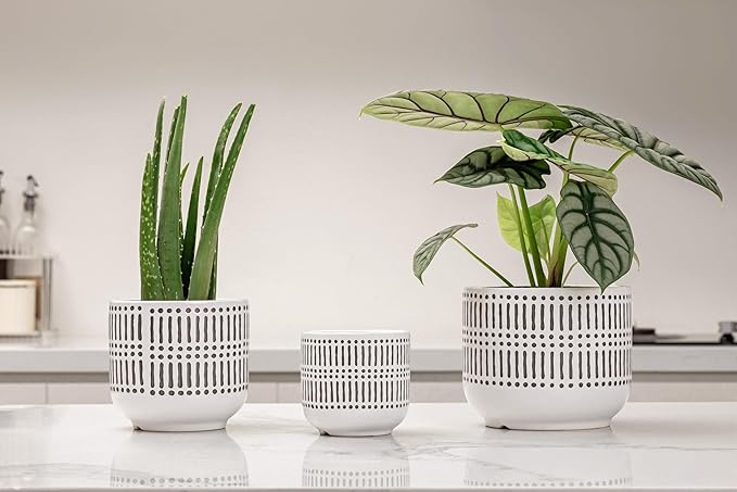 Docrin 3-Pack Ceramic Planters Set - 6.5"+5.3"+4" Dual-Tone Flower Pots with Drainage Holes, Modern Indoor Outdoor Planters for Succulents/Herbs/Large Plants, Home Office (Brownish Black & White)