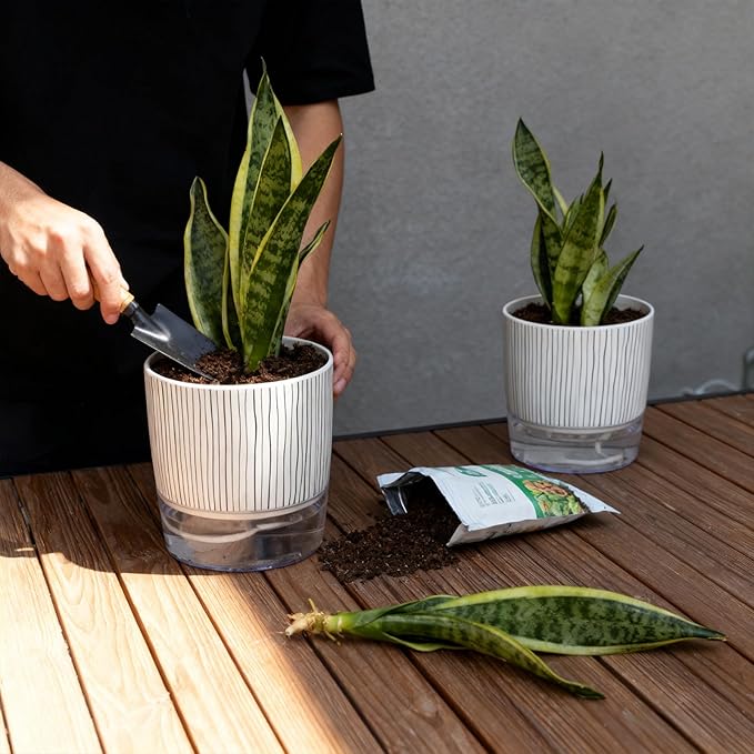 3 Pack Self Watering Pots Set, 5.5 Inch Self Watering Pots for Indoor Plants, Planter Pot with Wick Rope and Reservoir for African Violet, Spider Plant, Orchid