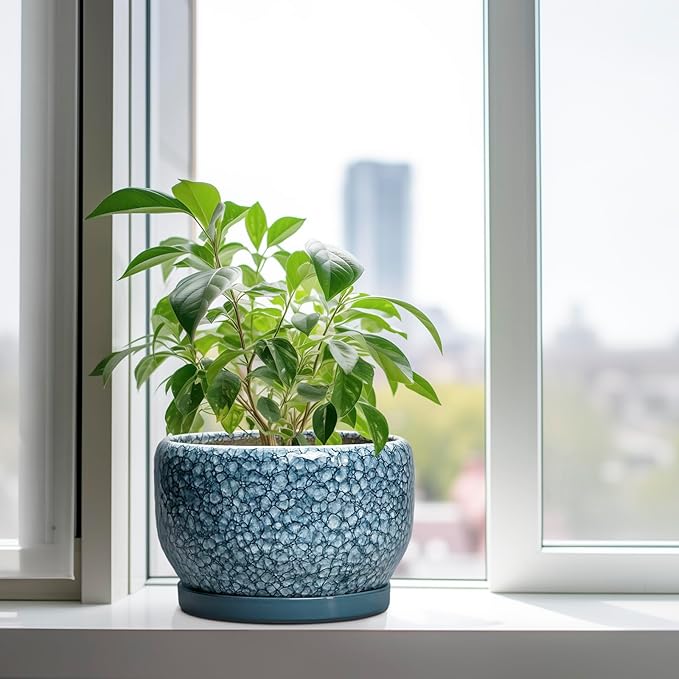 SQOWL Ceramic Planter - 10 Inch Plant Pot Indoor with Drainage Hole and Saucer, Decorative Flower Pots Outdoor, Ceramic Plant Pots, Large Round Planter, Home Patio Decor, House Warming Gifts, Blue