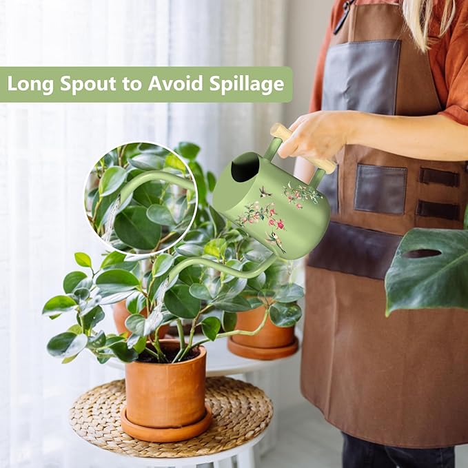 Watering Can Indoor Plants, 35oz Small Stainless Steel Metal Watering Can Modern Decorative Watering Pot with Long Spout for Indoor House Plant Bonsai Garden Flowers (Saga Green 1)