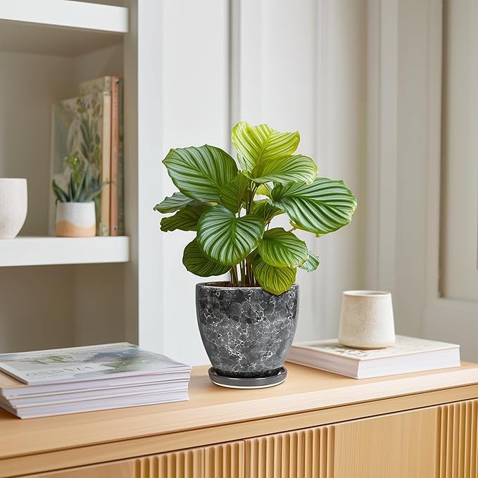 Ceramic Pots for Plants - 6 Inch Ceramic Planter with Drainage Hole and Saucer, Modern Planters for Indoor Outdoor Plants, Round Planter, Home Garden Decor, Plant Lover Gifts, Grey