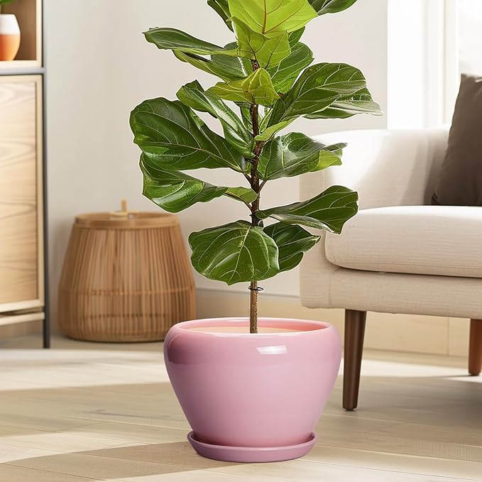 Ceramic Modern Glaze Succulent Planter Pot with Drainage Hole and Saucer 8 Inch Round Flower Plant Pot for Indoor Outdoor Herb Snake Plants, Pink