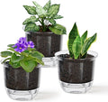 Self Watering Pots, 3 Pack 4 Inch Clear Plant Pot Self Watering Planter Flowers Pot with Deep Reservoir for Indoor Plants (3 Small)