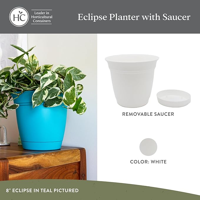 The HC Companies 6 Inch Eclipse Round Planter Pots with Drainage Holes & Attached Saucer, Lightweight UV-Resistant Plastic Indoor & Outdoor Planters, 4-Pack Flower Pots for Garden & Home Decor, White
