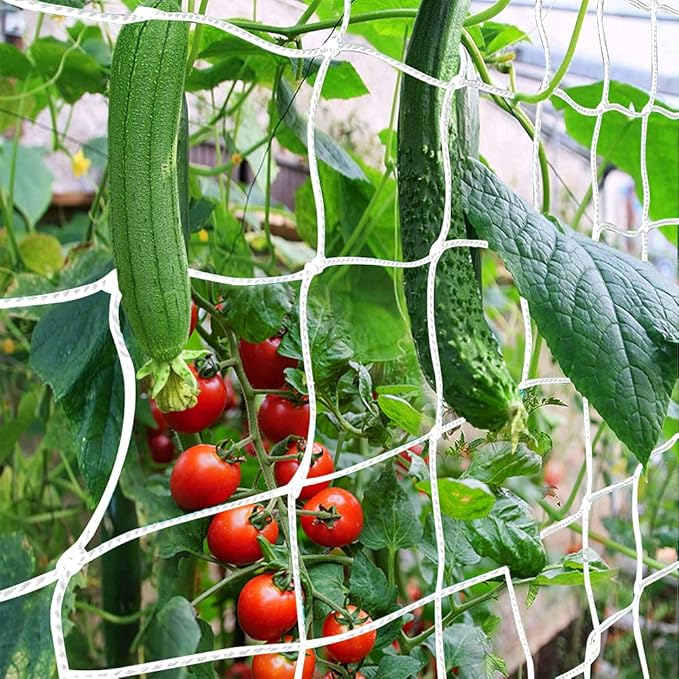 Trellis Netting, CANAGROW Heavy-Duty Garden Plant Trellis Netting for Climbing Plants, Outdoor Indoor Grow Net for Beans Tomatoes Peas Pumpkin Flowers, 6x15ft, 1 Pack