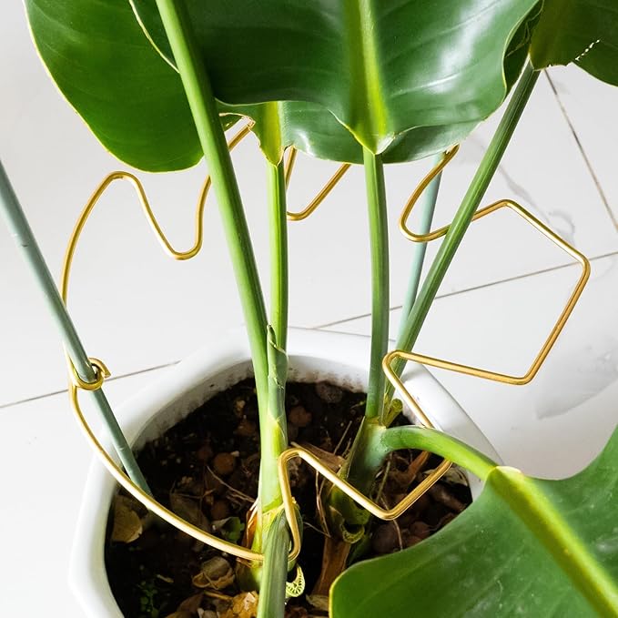 5PCS Monstera Plant Stem Support with Leaf Holders - Innovative Cactus Stake for Indoor Plants - Unique Plant Support Kit for Healthy Growth - Ideal for Gardening Enthusiasts
