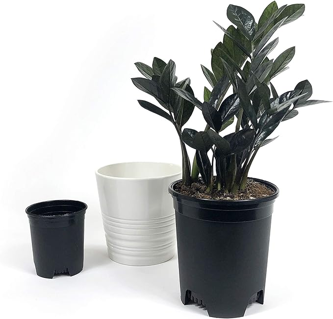 10 Pack Plastic Black Plant Pots Nursery Gardening Planters 4 in to 7.5 Inch Small Medium Plants 0.25 0.35 0.5 1 1.5 Gallon for Indoor and Outdoor Plants
