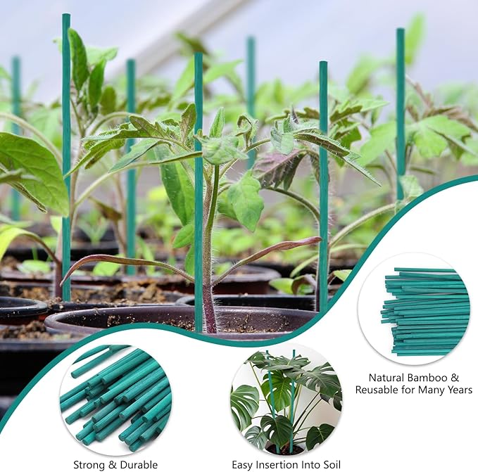 Bamboo Plant Stakes 50PCS, 18Inch Natural Bamboo Garden Stakes, Supports Indoor & Outdoor Plants, Straight Style, Green