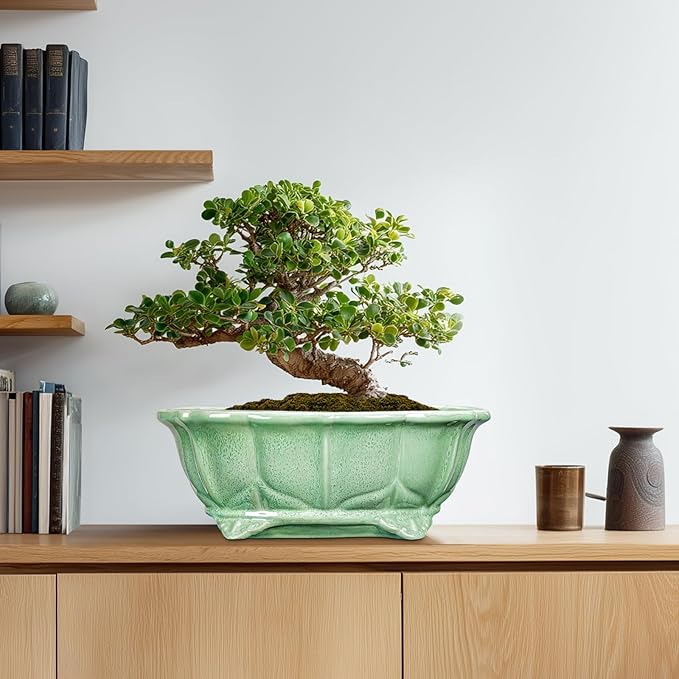Bonsai Tree Pot - 13.2 Inch Large Ceramic Succulent Planter for Indoor Outdoor, Oval Plant Pot with Drainage Hole, Decorative Flower Pots, Home Decor, Gifts for Plant Lovers, Green
