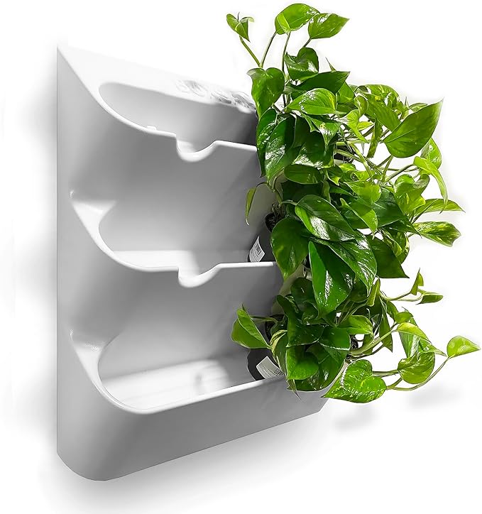 BOXSAND-12 Vertical Wall Planter for 12 Plants – Indoor/Outdoor Living Wall, Space-Saving Vertical Garden System, Easy 2-Screw Install (White, 24"x26", no pots)