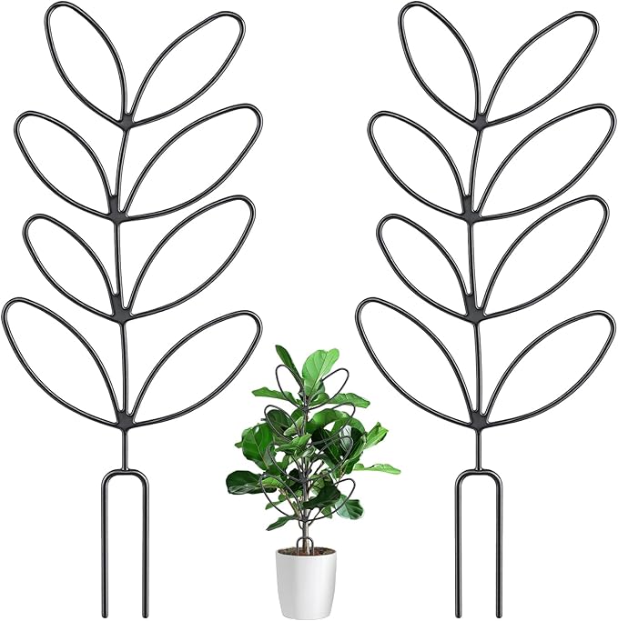 2 Pcs Plant Trellis Indoor, Plant Support for Climbing, 12 Inch Small Plant Stakes for Indoor Plants, Trellis for Climbing Plants Garden Potted (Leaf Shape Black)