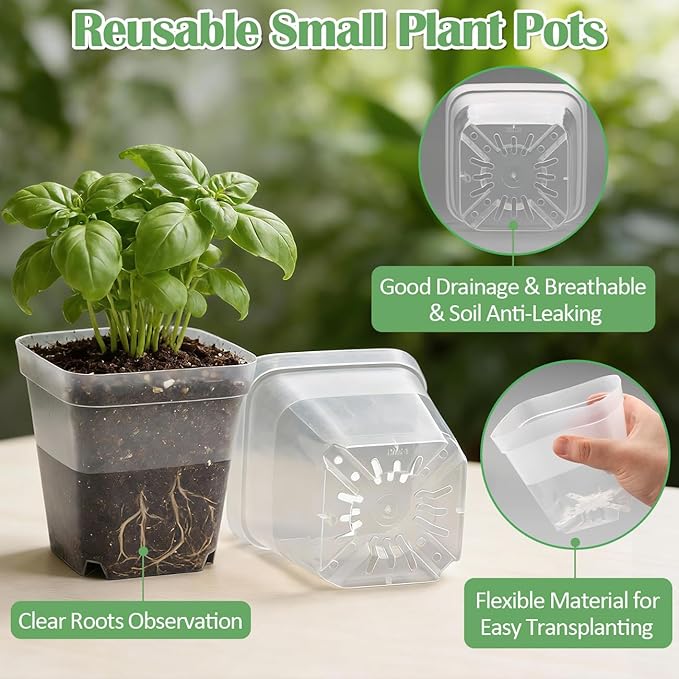 60 Pcs Clear Square Nursery Pots 4 Inch, Reusable Seedling Pots with Drainage Holes, Transparent Small Plant Potting Pot Containers for Seedlings Microgreens, Flowers, Indoor Gardening