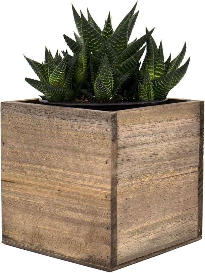 CYS EXCEL Cube Planter Box with Removable Plastic Liner (5"x5"x5")(4 PCS) | Multiple Size Choices Wood Square Planter | Indoor Decorative Window Box