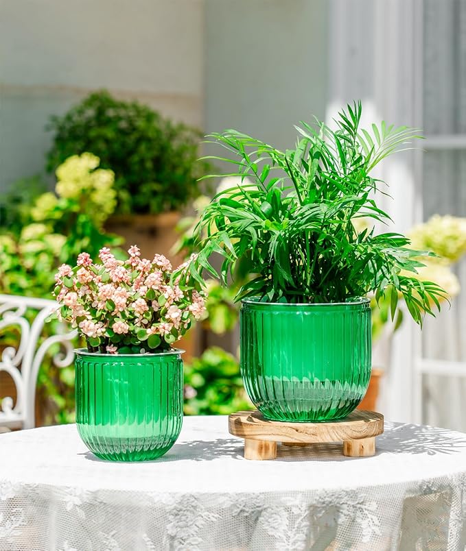 Melphoe Self Watering Pots for Indoor Plants Planter, 6.5/5.3 Inch 2 Pack Planters Self Watering Plant Pots for Flower, Houseplants, Succulent, African Violets and Cactus with Drainage