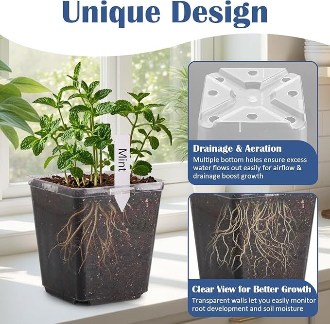 5.5 Inch Clear Square Nursery Pots with Drainage & Labels, 30Pcs Reusable Seed Starter Pots for Vegetables, Indoor Outdoor Gardening, Thick Transparent Plastic Plant Pots for Seed Starting
