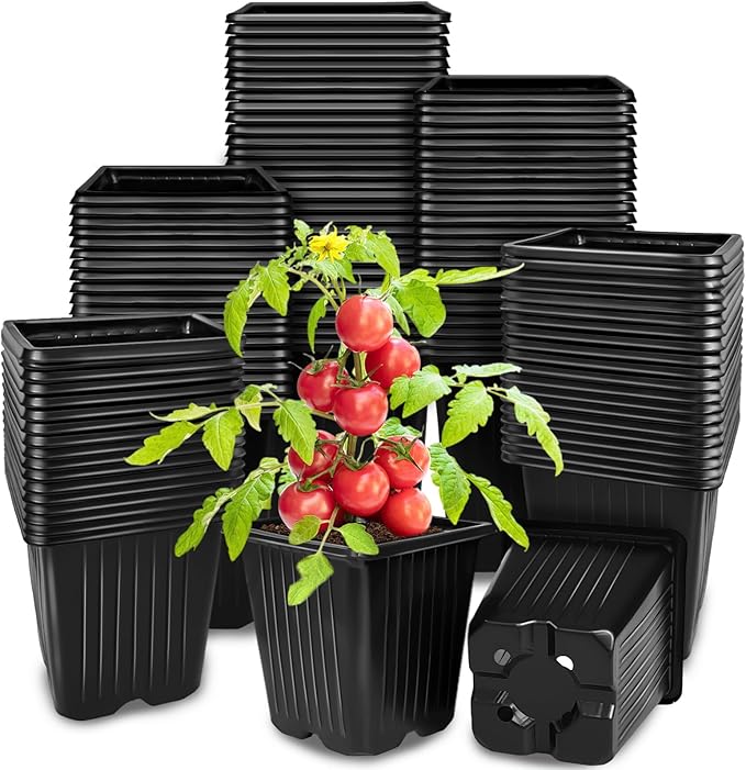 Anyumocz 100Pcs Square Plant Nursery Pots,3.5 Inch Plastic Pots with Drainage Holes,Reusable Seed Starter Pots for Flowers,Vegetables,Garden Planting,Transplanting,Succulents,Cuttings(Black)