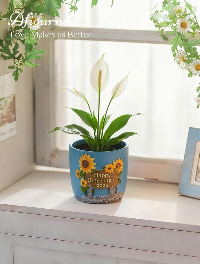 Retirement Gift for Woman: Happy Retirement Gift 2025 - Hand-Painted Plant Pot for Unique Retired Gifts or Retirement Party Decorations - Succulent Planter with Drainage 5.3 inch