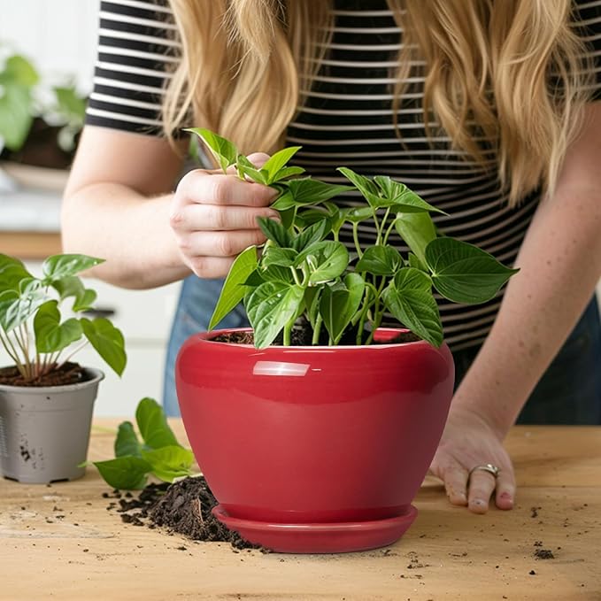 6 Inch Plant Pot - Glaze Modern Ceramic Planter for Indoor Plants, Succulent Pot with Drainage Hole and Saucer, Office Garden Home Decor, Housewarming Gift, Red