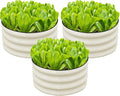 SnugNiture 3 Pcs 2x2x1ft Round Galvanized Raised Garden Bed Kit Outdoor, Metal Planter Box for Planting Plants Vegetables, White