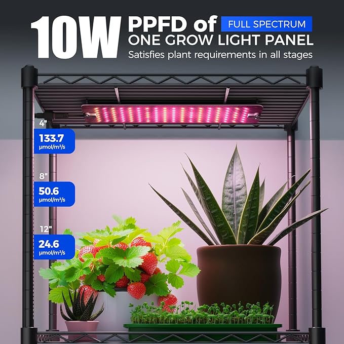 Barrina CX83Z Indoor Greenhouse with Grow Light, 4-Tier Corner Plant Stand, 30W Full Spectrum Growing Light Panels, Mini Greenhouse with Tent for Seed Starting, 3/6/12h Timer, 15.7 x 11.8 x 59.1IN