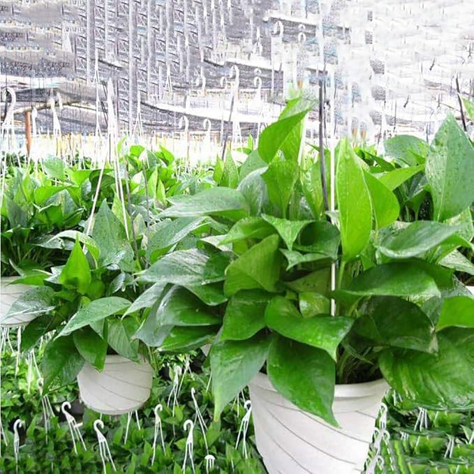 VIDELLY 4 Pieces Plastic Hanging Planters, 5.9 in Dia x 3.54 in H, Flower Plant Basket Pots Chain Holder Garden Decoration for Indoor and Outdoor Use, Red
