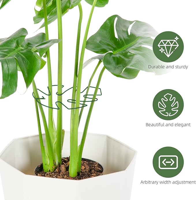 6PCS Iron Monstera Plant Support, Uniquely Designed Indoor Plant Accessories, Stable Plant Support Stakes for Indoor Plant, Turtle Shell Bamboo Clamp Set for Thriving Growth