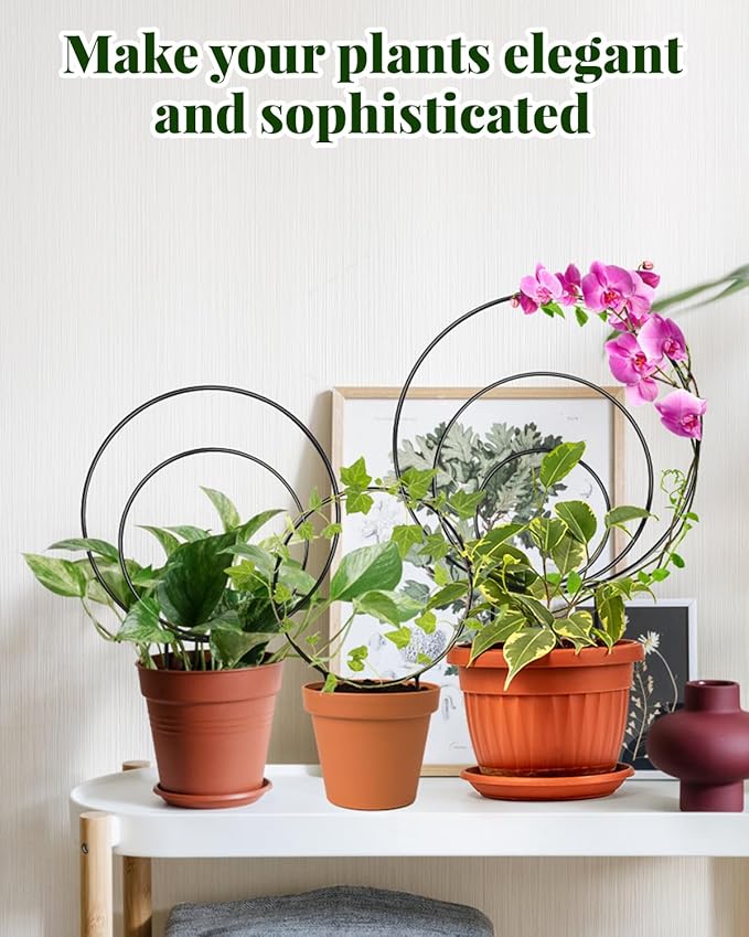 3 Pcs Unique Round Hoya Garden Trellis, Different Small Houseplant Trellis for Climbing Plant Indoor Outdoor, Garden Trellis Plant Support for Potted Ivy and Flowers (Black)