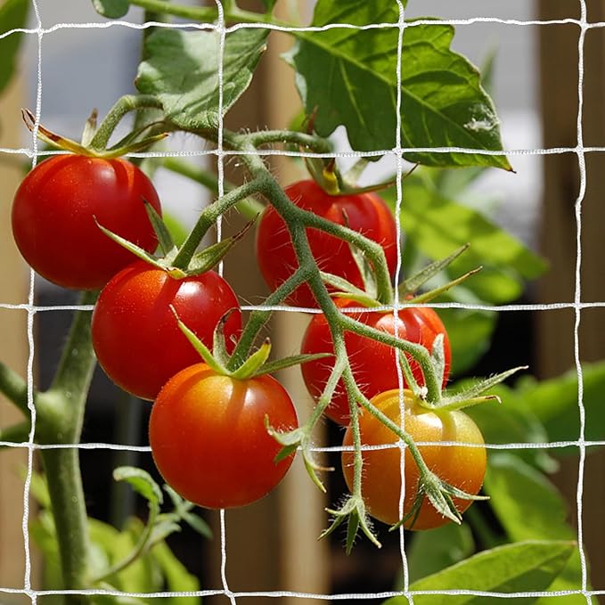Tcamp Trellis Netting for Plants (5Ft x30Ft, 3.5" Square Mesh Ployester, 2Pack)