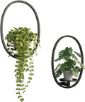 2 Pack Plant Stand Indoor Outdoor Hanging Planters for Plants Wall Plant Holder for Indoor Plants Plant Frames Wall Decor for Livingroom Bedroom Balcony Patio