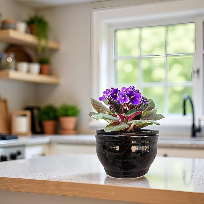 African Violet Pots Self Watering Round Ceramic Violet Pot (Black, 6 inch)