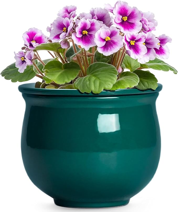 6 Inch Self Watering Plant Pots, Ceramic African Violet Pot with Absorbent Inner Pot, Easy Self Watering Pots for Indoor Plants, Ceramic Planter, Room Decor, Plant Lover Gifts, Blackish Green