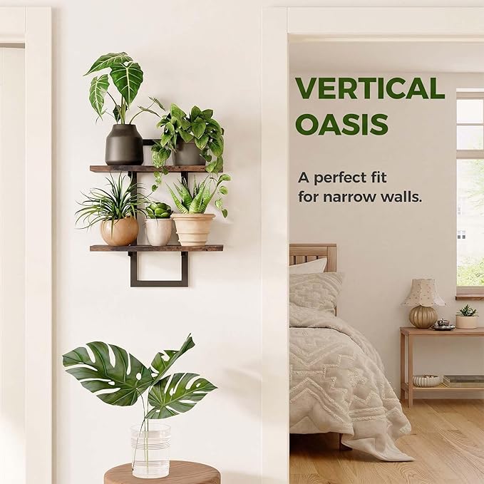 Bamworld Wall Planters for Indoor Plants Window Plant Shelves Vertical Plant Holder Wall Decor Plant Stand Indoor Floating Shelves for Plant Hangers for Living Room Bedroom Bathroom