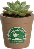Gardening Gifts for Women: Hand-Painted 3D Art Cute Succulents Planter - Funny Garden Gifts for Plant Lovers Gardeners Mom Grandma - Cool Plant Pot Present for Christmas Birthday Mother's Day