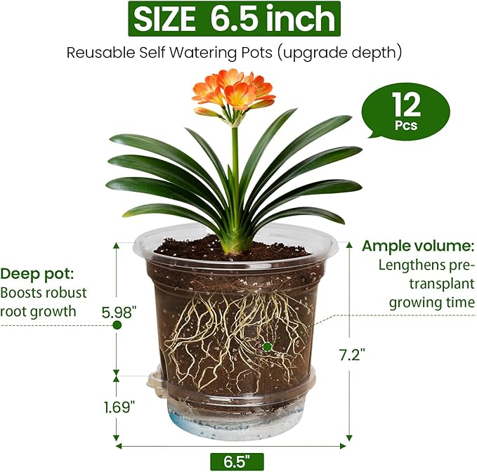 MIXC 12 Packs 6.5 Inch Self Watering Pots for Indoor Plants - Clear Nursery Plant Pots with Drainage, Deep Visible Reservoir - Flower Planter Outdoor with Wicking Rope