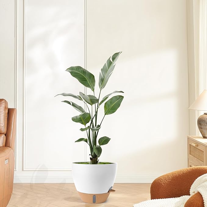 Plant Pots,12/10/9/8/ Inch Large Plastic Self Watering Flower Pots Indoor Outdoor with Drainage Holes, Deep Reservoir,Nursery Planting Pot for Indoor Out Door Plants White