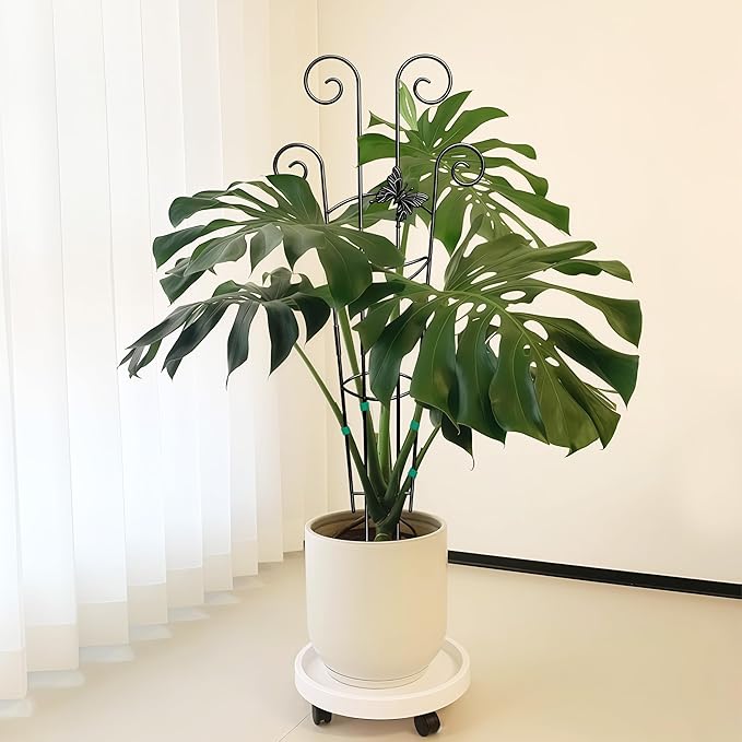 Coomin 32.6in Monstera Plant Support for Indoor Plants, 2P Trellis for Climbing Plants Indoor, Plant Climber Stakes for Potted Plants