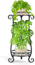 LASZOLA 2 Tier Black Metal Plant Stand for Multiple Large Planters Indoor Outdoor Organizer, Heavy Duty Tall Flower Stand for Corner Patio Bathroom Office, Modern Sturdy Vertical Iron Rack, Cat Proof