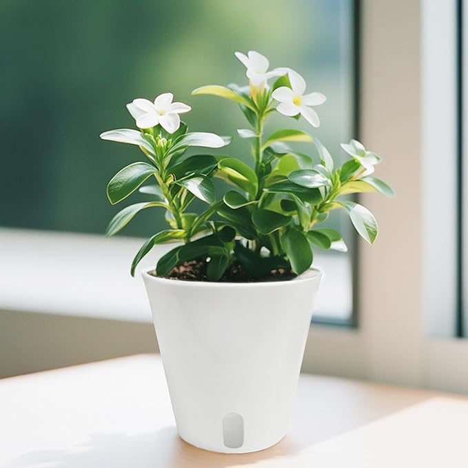 TCBWFY 5 Inch Self Watering Pots for Indoor Plants,5 Sets Self Watering Planter Pots with Visual Water Level Window and Multiple Vents,Self Watering Plant Pot for All House Plants,Flowers,Herbs