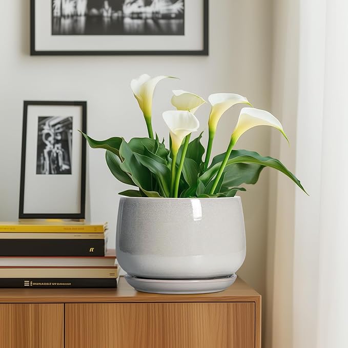 G EPGardening Ceramic Plant Pots - 9 Inch Ceramic Planters for Indoor Outdoor Plants, Modern Flower Pots with Drainage and Saucer, Round Planter, Garden Home Decor, Plant Lover Gifts, Light Grey